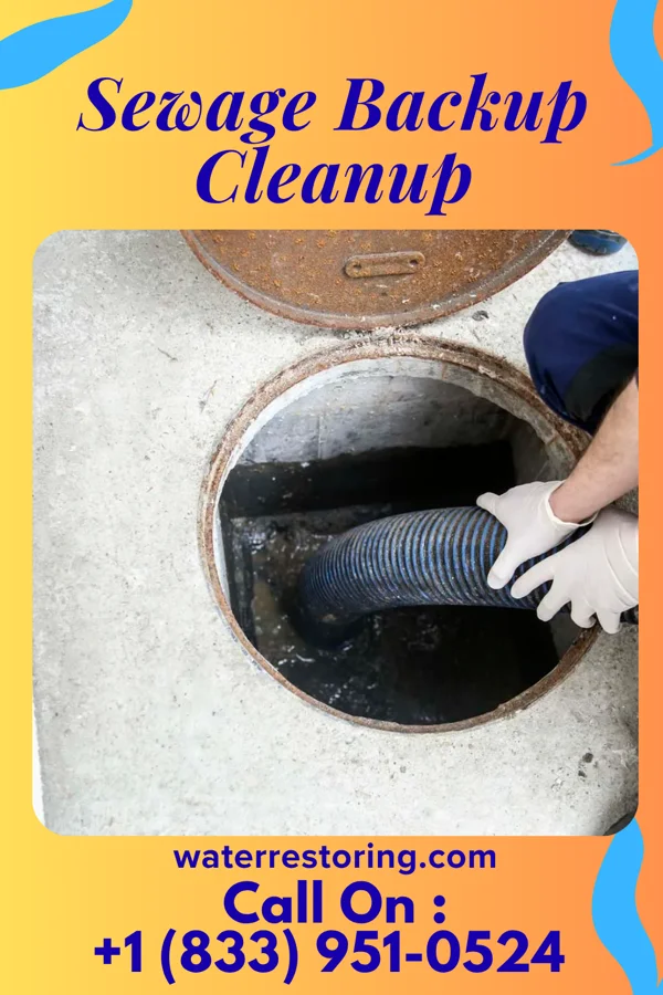 Sewage Backup Cleanup in Kennard, IN